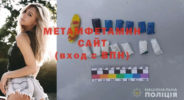 шишки Белокуриха