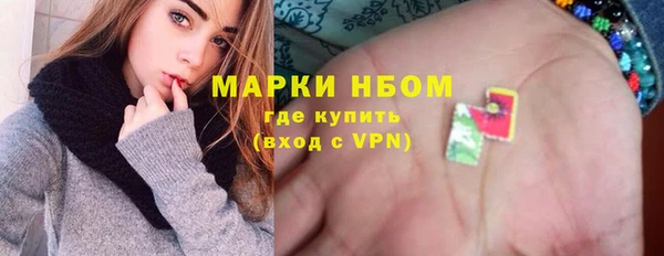 шишки Белокуриха