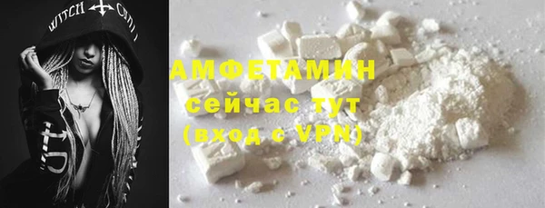 шишки Белокуриха