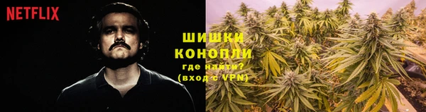 шишки Белокуриха
