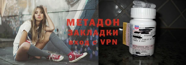 шишки Белокуриха