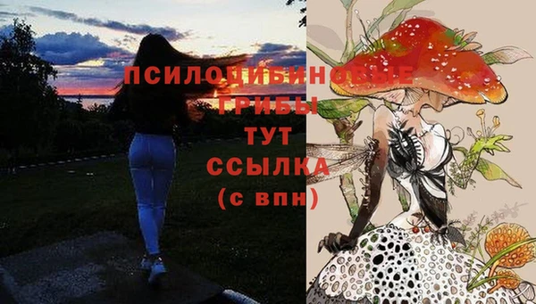 шишки Белокуриха