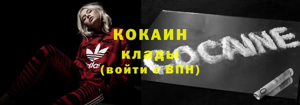 шишки Белокуриха