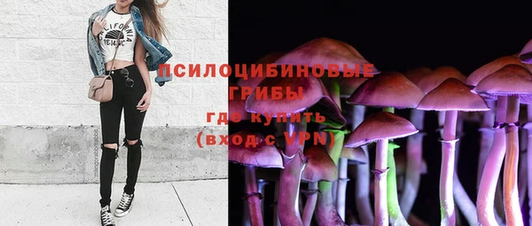 шишки Белокуриха