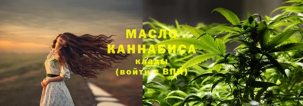 шишки Белокуриха