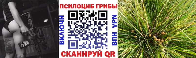 закладки Облучье Псилоцибиновые грибы мицелий